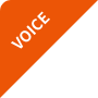 VOICE